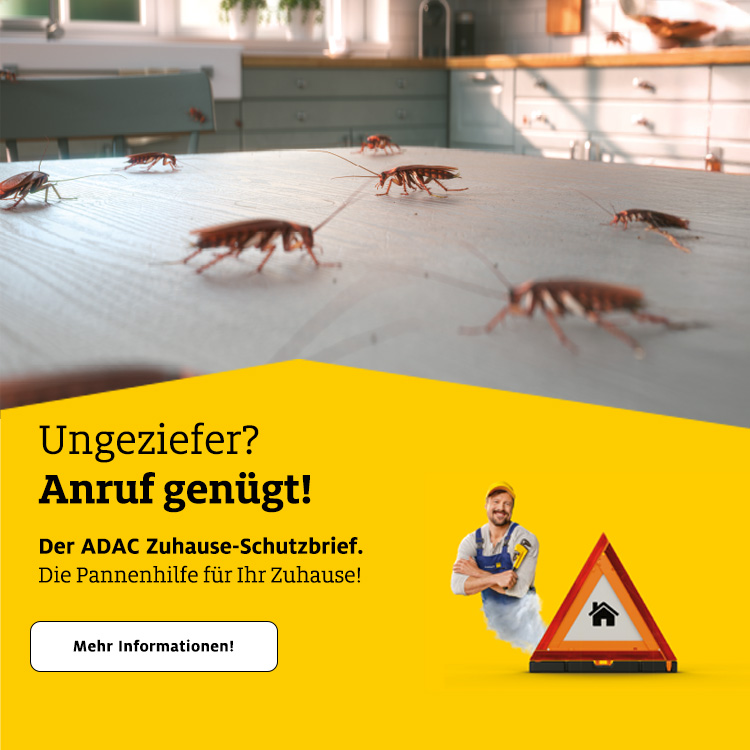 Eine Küche mit Kakerlaken auf einem Tisch und einem Handwerker auf einem Plakat.