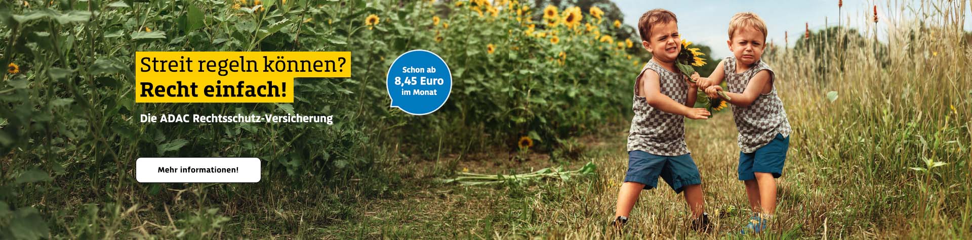 Zwei kleine Jungen streiten mit ernsten Gesichtern auf einem sonnigen Feld um eine Sonnenblume